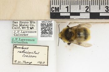 Media type: image;   Entomology 810751 Aspect: labels